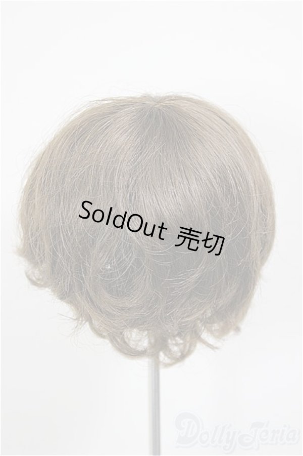 画像2: 8-9inch/W-171D-2:ウィッグ/インチ　BJD　MJD　ドール用 A-26-01-14-226-NY-ZA (2)