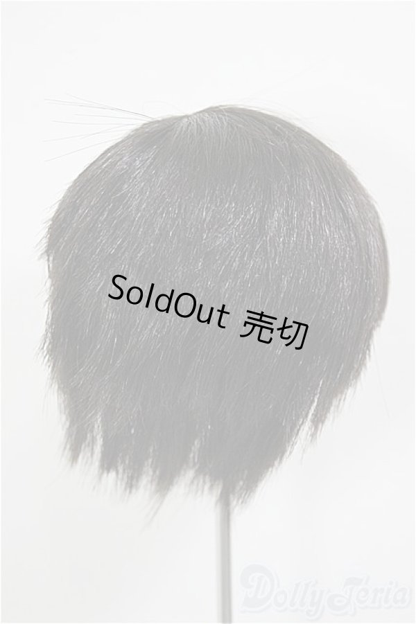 画像2: 8-9inch/W-163D-Charcoalbrown:ウィッグ/インチ　BJD　MJD　ドール用 A-26-01-14-227-NY-ZA (2)