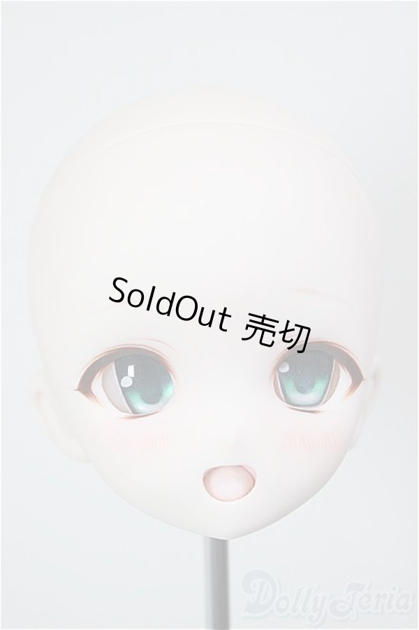 画像1: DD/DDH-01:カスタムヘッド/BJD　球体関節人形 A-26-01-21-263-NY-ZA (1)