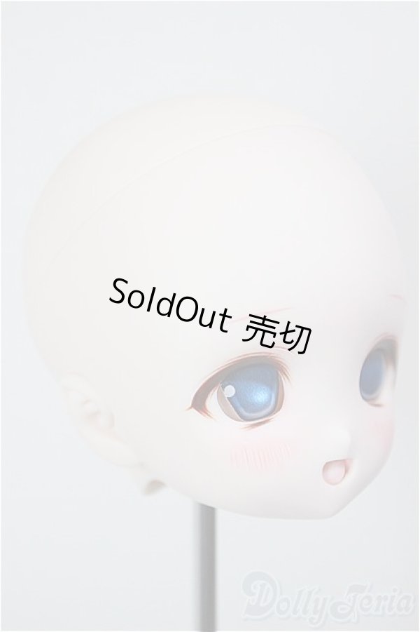画像2: DD/DDH-01:カスタムヘッド/BJD　球体関節人形 A-26-01-21-264-NY-ZA (2)