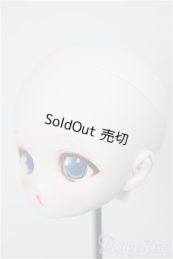 画像3: DD/DDH-01:カスタムヘッド/BJD　球体関節人形 A-26-01-21-264-NY-ZA (3)