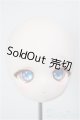 画像: DD/DDH-01:カスタムヘッド/BJD　球体関節人形 A-26-01-21-266-NY-ZA