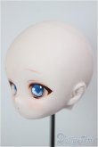 画像3: DD/DDH-01:カスタムヘッド/BJD　球体関節人形 A-26-01-21-266-NY-ZA (3)