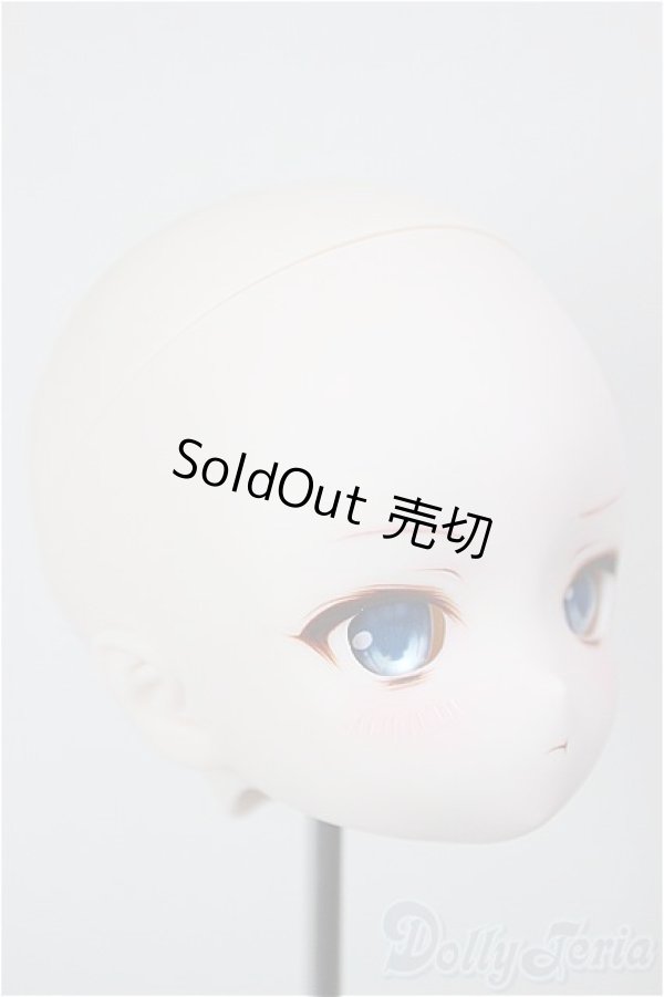 画像2: DD/DDH-01:カスタムヘッド/BJD　球体関節人形 A-26-01-21-265-NY-ZA (2)