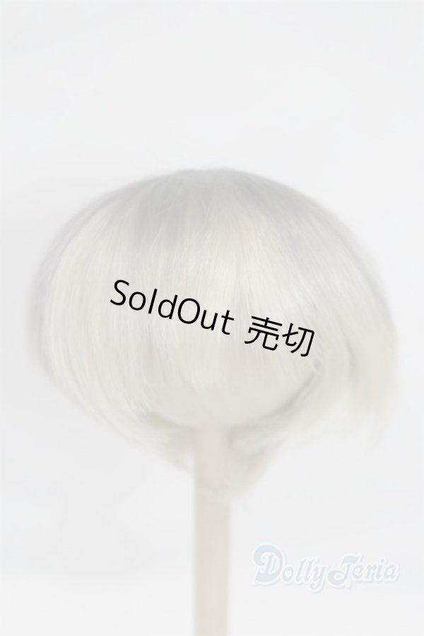 画像1: 8-9inch/ウィッグ/インチ　BJD　MJD　ドール用 A-26-01-28-075-NY-ZA (1)