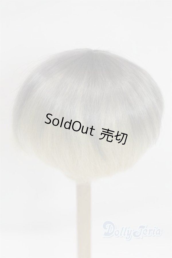 画像2: 8-9inch/ウィッグ/インチ　BJD　MJD　ドール用 A-26-01-28-075-NY-ZA (2)