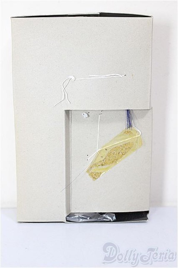 画像3: ドルチェナ/What is Christmas?!/ A-26-01-21-323-NY-ZA (3)