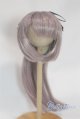 画像: 8-9inch/ウィッグ/インチ　BJD　MJD　ドール用 A-26-02-11-100-NY-ZA