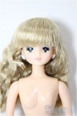 画像1: リカちゃんキャッスル/ユメカちゃん　2017年おめかしコレクションモデル/BJD　球体関節人形 A-26-02-04-197-NY-ZA (1)