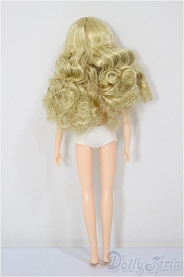 画像3: リカちゃんキャッスル/リカちゃん/BJD　球体関節人形 A-26-02-04-194-NY-ZA (3)