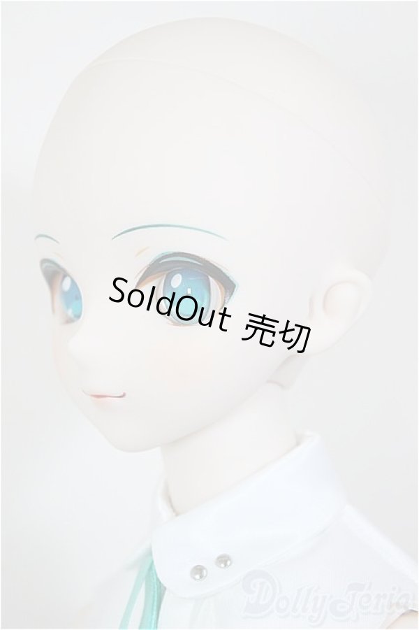 画像4: DD/初音ミク NT/BJD　球体関節人形 A-26-01-21-199-NY-ZA (4)