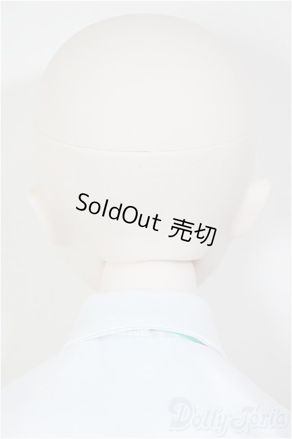 画像5: DD/初音ミク NT/BJD　球体関節人形 A-26-01-21-199-NY-ZA (5)