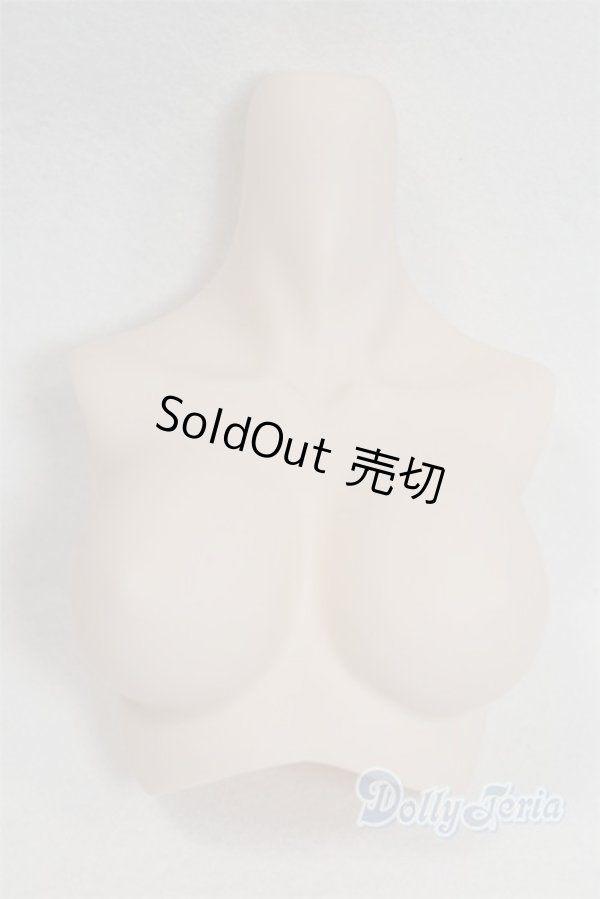 画像1: AZONE/AZO2上半身パーツ　50L/ A-26-02-11-036-NY-ZA (1)