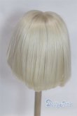 画像2: 8-9inch/ウィッグ　ChicaBi製/インチ　BJD　MJD　ドール用 A-26-02-11-028-NY-ZA (2)