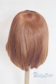 画像2: 7-8inch/ウィッグ　Hannasu/インチ　BJD　MJD　ドール用 A-26-02-11-044-NY-ZA (2)