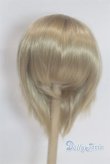 画像1: 8-9inch/ウィッグ/インチ　BJD　MJD　ドール用 A-26-02-11-027-NY-ZA (1)