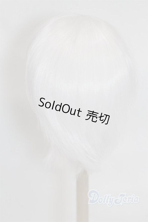 画像2: 8-9inch/ウィッグ/インチ　BJD　MJD　ドール用 A-26-02-11-026-NY-ZA (2)