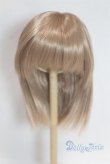 画像1: 8-9inch/ウィッグ/インチ　BJD　MJD　ドール用 A-26-01-28-099-NY-ZA (1)