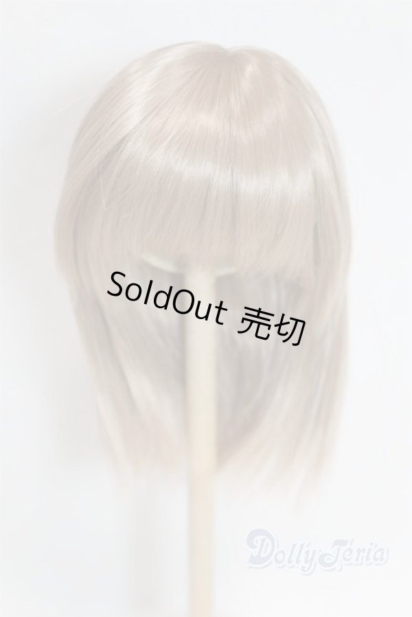 画像1: 8-9inch/ウィッグ/インチ　BJD　MJD　ドール用 A-26-01-28-099-NY-ZA (1)