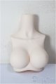 画像: MDD/上半身パーツ/BJD　球体関節人形 A-26-01-21-245-NY-ZA