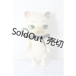 画像: CAPSULEDOLL/ねこ/ A-26-01-21-240-NY-ZA