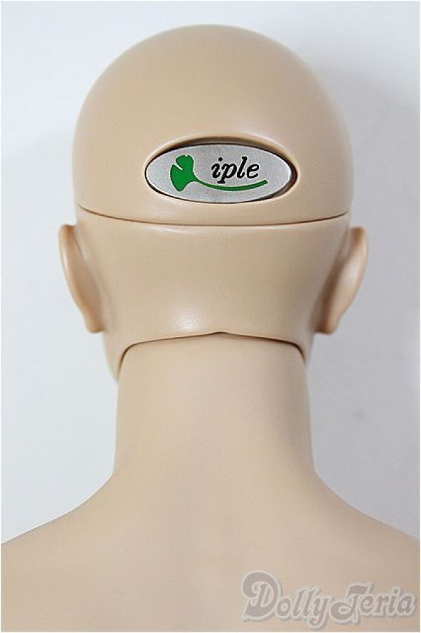 画像2: iplehouse/Tedros_F.I.D/BJD　球体関節人形 A-26-01-21-204-NY-ZA (2)