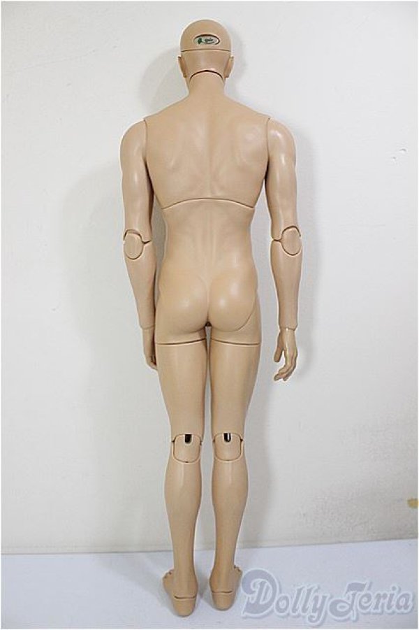 画像4: iplehouse/Tedros_F.I.D/BJD　球体関節人形 A-26-01-21-204-NY-ZA (4)