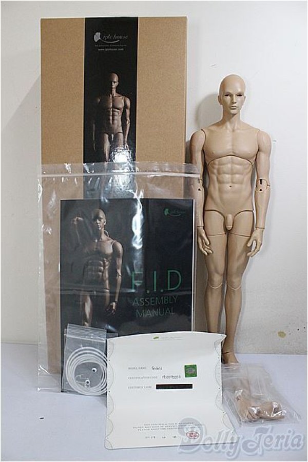 画像6: iplehouse/Tedros_F.I.D/BJD　球体関節人形 A-26-01-21-204-NY-ZA (6)