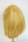 画像2: PARABOX/乙姫ウィッグ Y-26-01-28-293-NY-ZY (2)