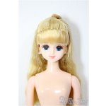 画像: リカちゃんキャッスル/マリーン/BJD 球体関節人形 A-26-01-21-340-NY-ZA