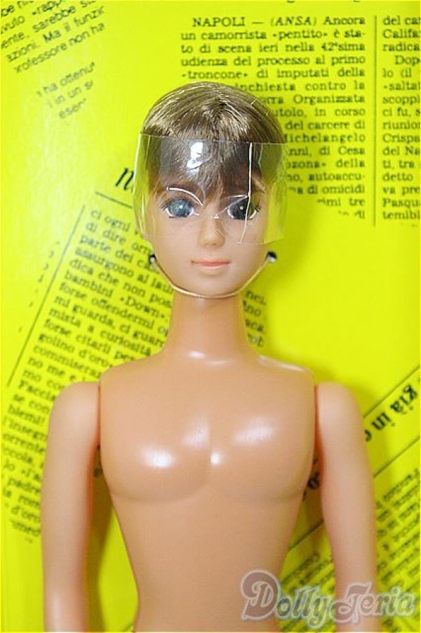 画像1: ジェニー/ボーイフレンド:ジェフ/BJD　球体関節人形 A-26-01-21-347-NY-ZA (1)