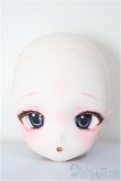 画像1: DD/DDH-22:カスタムヘッド/BJD　球体関節人形 A-26-01-21-373-NY-ZA (1)