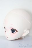 画像2: DD/DDH-22:カスタムヘッド/BJD　球体関節人形 A-26-01-21-373-NY-ZA (2)