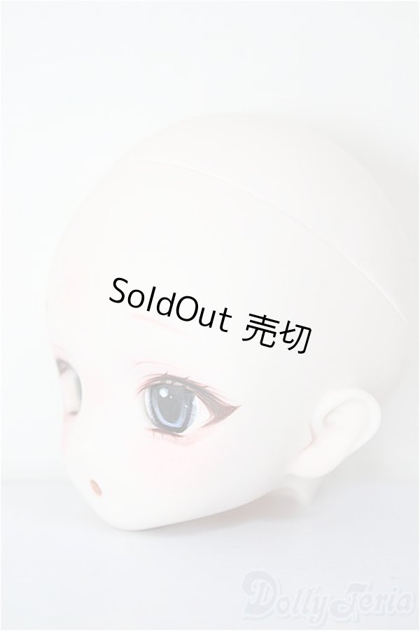 画像2: DD/DDH-22:カスタムヘッド/BJD　球体関節人形 A-26-01-21-373-NY-ZA (2)