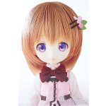 画像: Harmonia humming /ココア/ A-26-01-21-371-NY-ZA