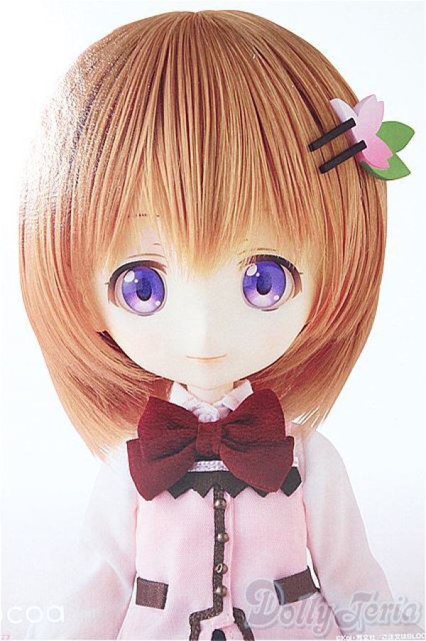 画像1: Harmonia humming /ココア/ A-26-01-21-371-NY-ZA (1)