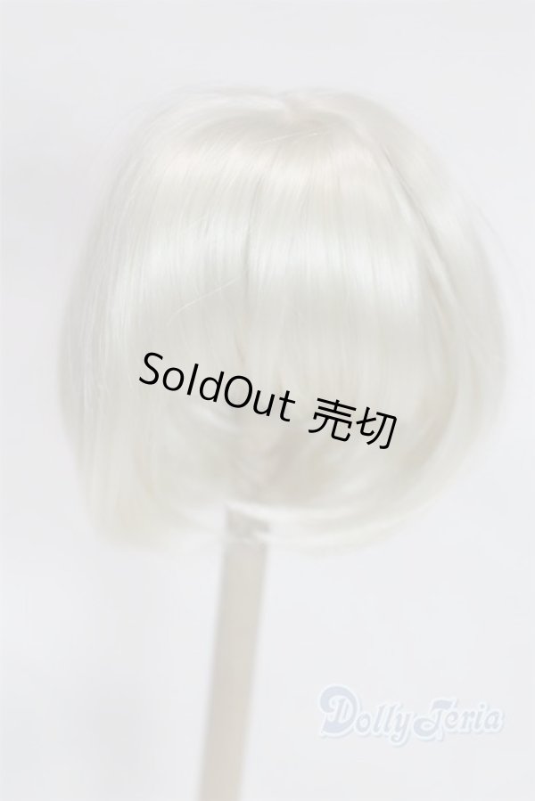 画像1: 8-9inch/ウィッグ/インチ　BJD　MJD　ドール用 A-26-02-04-021-NY-ZA (1)