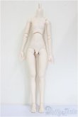 画像1: DDS/ベースボディ(DD-f3)/BJD　球体関節人形 A-26-01-28-101-NY-ZA (1)