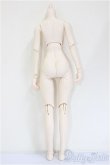 画像2: DDS/ベースボディ(DD-f3)/BJD　球体関節人形 A-26-01-28-101-NY-ZA (2)