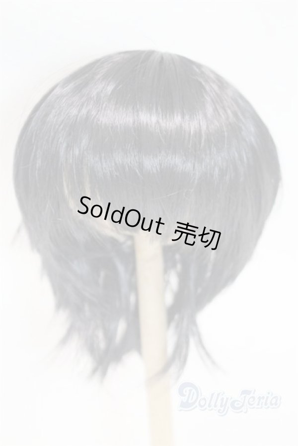 画像1: 8-9inch/ウィッグ/インチ　BJD　MJD　ドール用 A-26-02-04-084-NY-ZA (1)