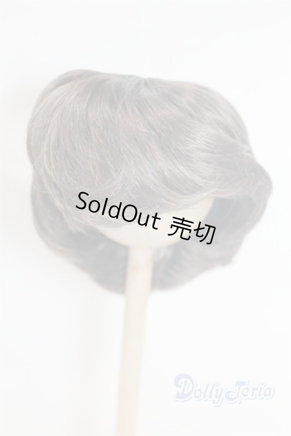 画像1: 9inch/ウィッグ/インチ　BJD　MJD　ドール用 A-26-02-11-015-NY-ZA (1)