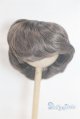 画像: 9inch/ウィッグ/インチ　BJD　MJD　ドール用 A-26-02-11-015-NY-ZA