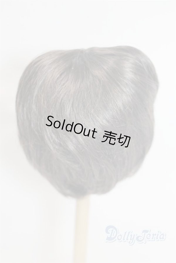 画像2: 9inch/ウィッグ/インチ　BJD　MJD　ドール用 A-26-02-11-015-NY-ZA (2)