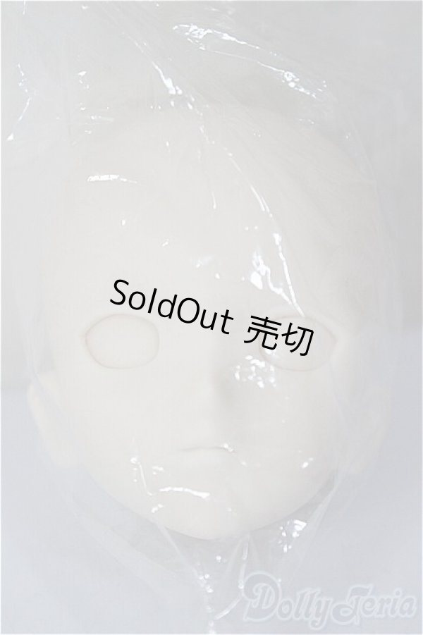 画像1: DD/DDH-07/BJD　球体関節人形 A-26-02-04-395-NY-ZA (1)