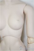 画像4: DD/ベースボディIII/BJD　球体関節人形 A-26-02-04-393-NY-ZA (4)