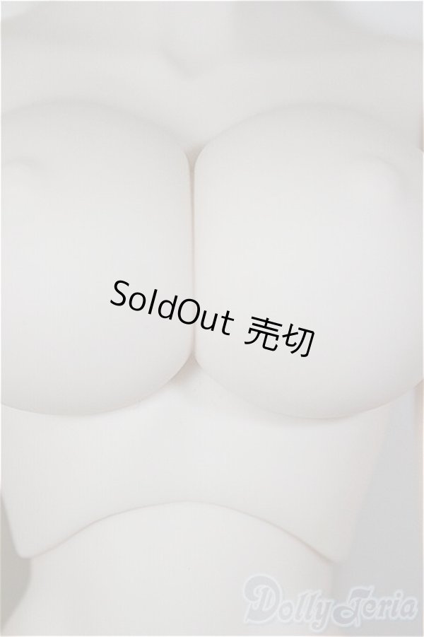 画像5: DD/ベースボディIII/BJD　球体関節人形 A-26-02-04-391-NY-ZA (5)