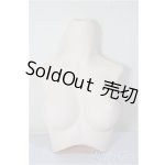 画像: DD/上半身パーツ/BJD　球体関節人形 A-26-02-04-394-NY-ZA