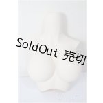 画像: DD/上半身パーツ/BJD　球体関節人形 A-26-02-04-400-NY-ZA