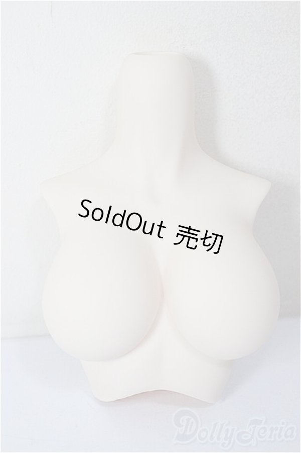 画像1: DD/上半身パーツ/BJD　球体関節人形 A-26-02-04-400-NY-ZA (1)
