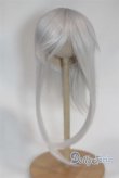 画像1: 8-9inch/ウィッグ/インチ　BJD　MJD　ドール用 A-26-02-11-098-NY-ZA (1)